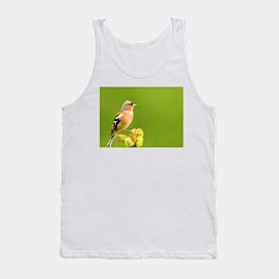 Chaffinch Tank Top